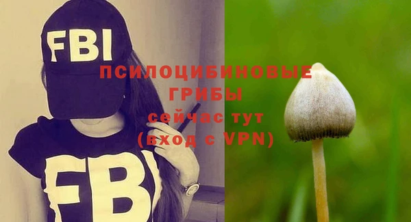 МДПВ Балабаново