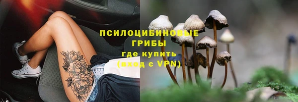 спиды Балахна