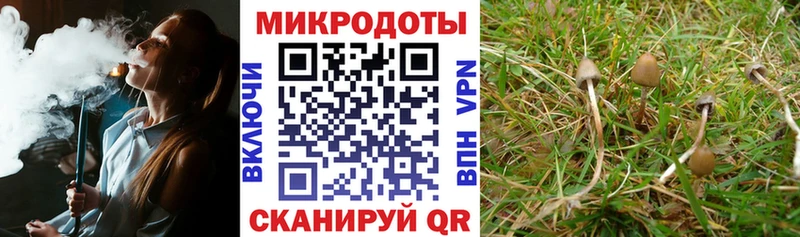 MEGA рабочий сайт  Западная Двина  Галлюциногенные грибы мицелий 